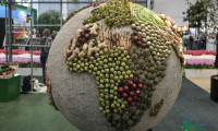 2027柏林绿色周：农业与美食的全球盛会（德国柏林国际绿色周展览会）