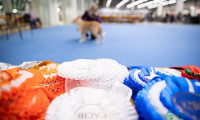 赫尔辛基国际狗狗展 芬兰犬展裁判变动公告 多犬种换人执裁