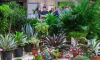西班牙瓦伦西亚国际园艺和技术展览会:Iberflora加强国际拓展 覆盖37个市场买家
