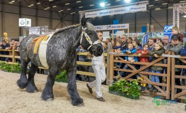 比利时根特国际佛兰芒农业及园艺展览会 Agri flanders 2026聚焦畜牧与机械化未来
