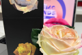 俄罗斯圣彼得堡国际专业化妆品及美容仪器展览会：InterCHARM趋势雷达揭示俄罗斯美妆业新走向